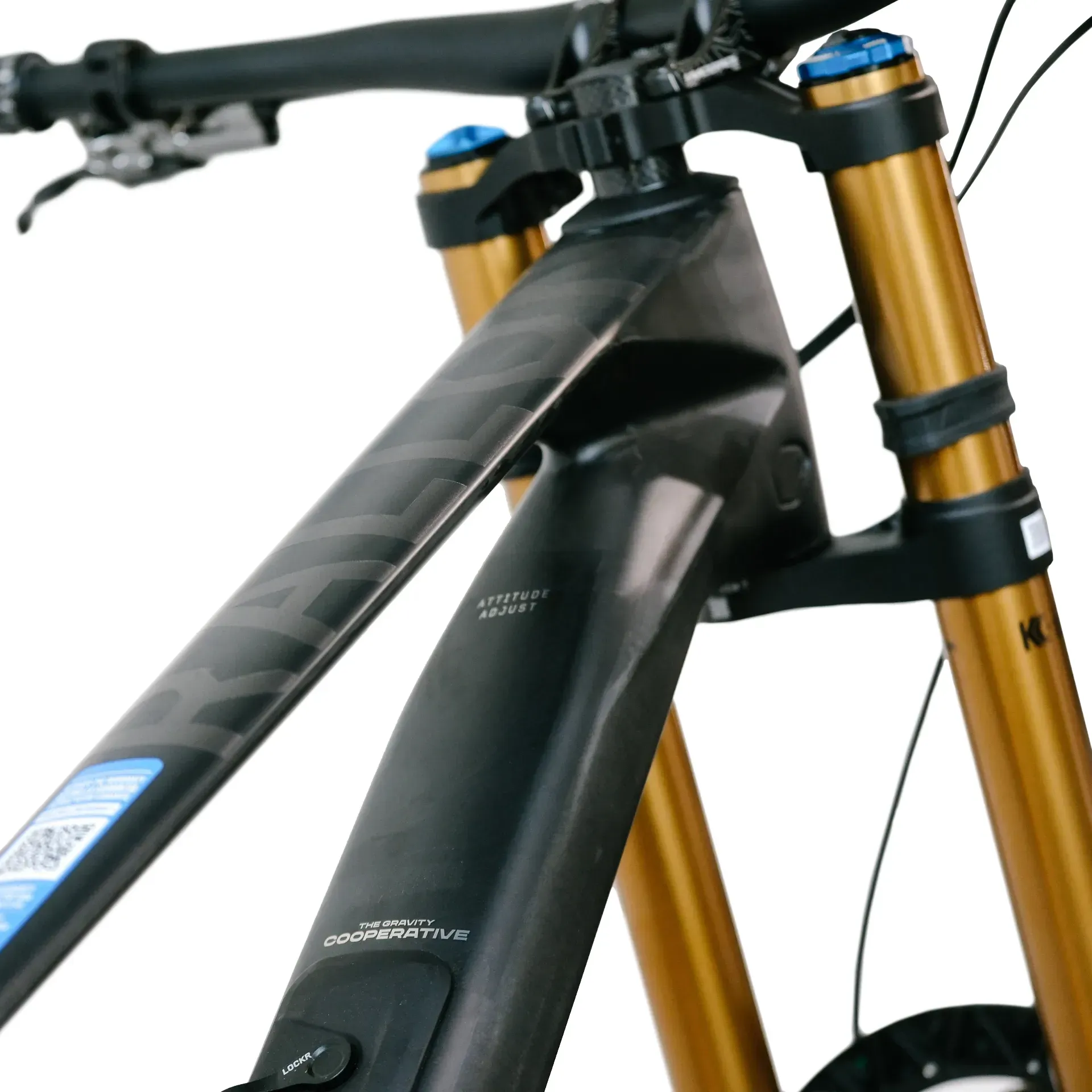 orbea-rallon-dh-carbon-raw-carbon-1