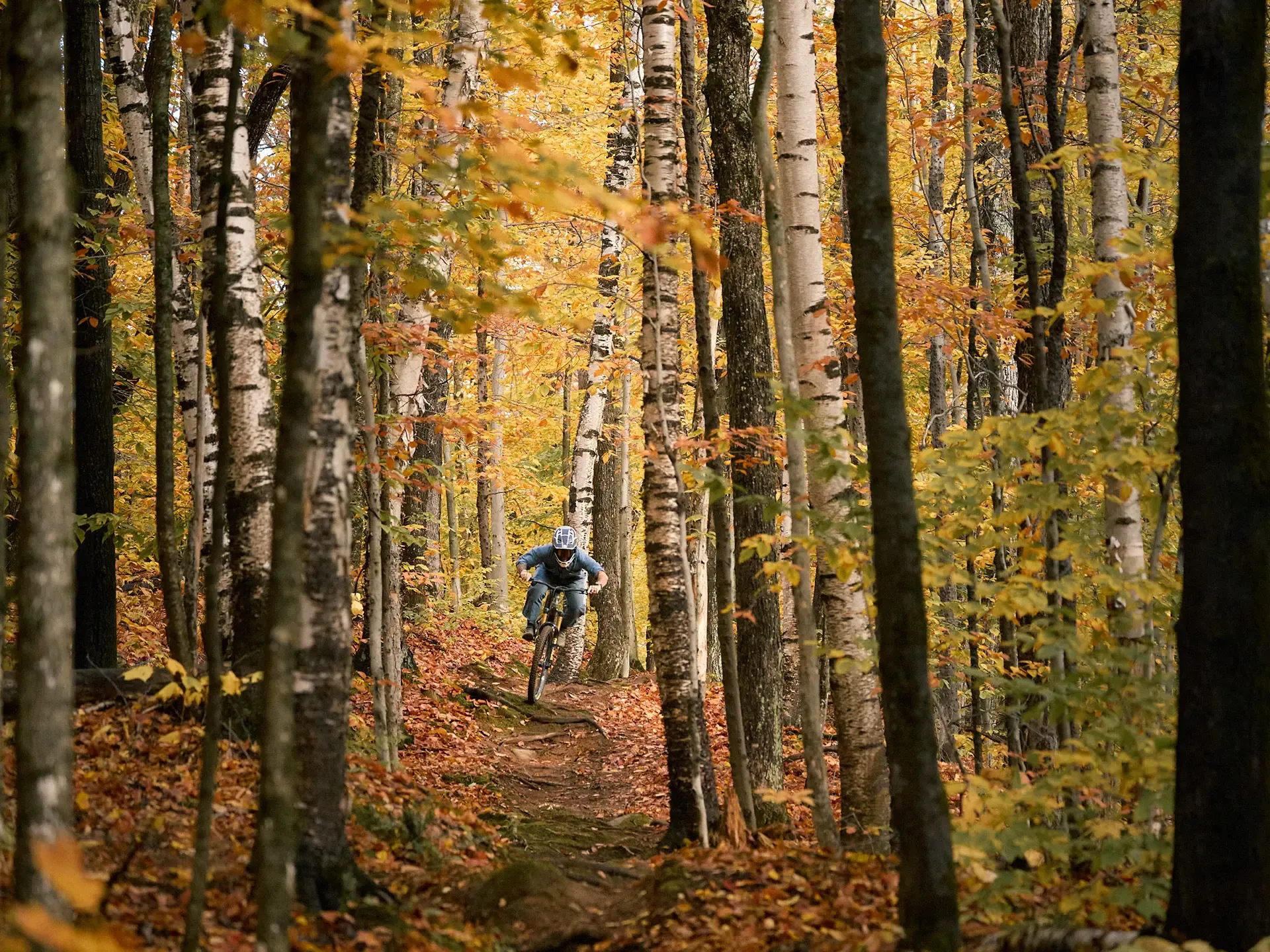 devinci-spartan-alloy-mx-live-8