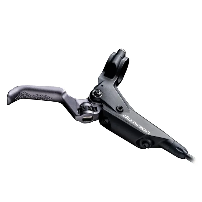 Hayes Dominion Master Cylinder with Lever